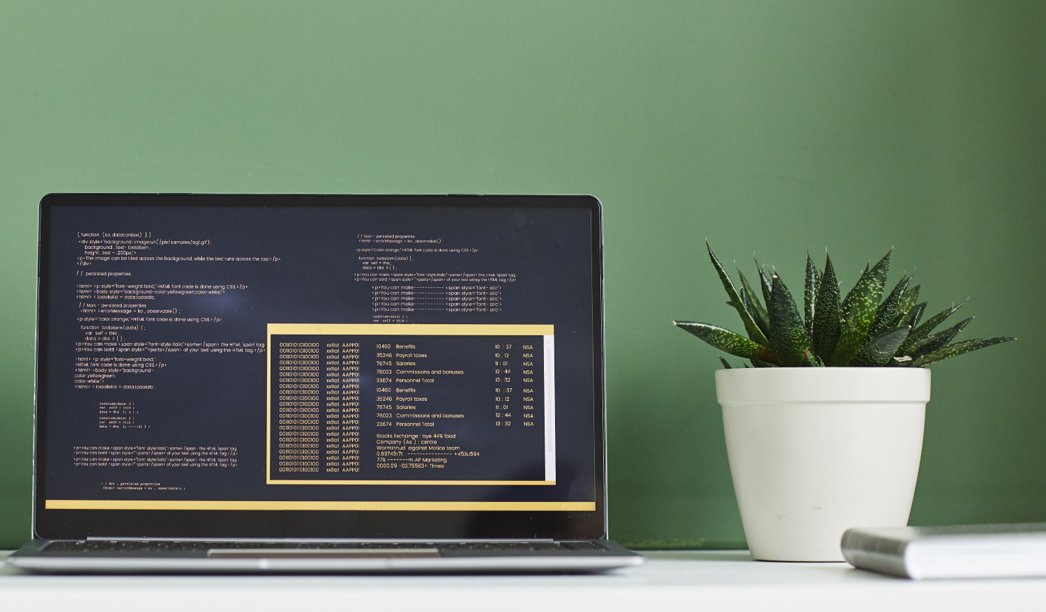 BSPOKE Software - Image of bespoke software code on a laptop screen